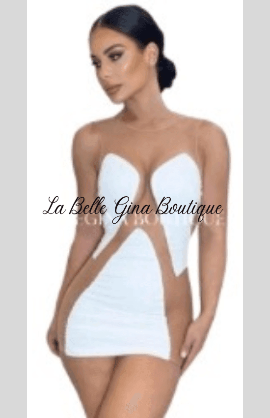 Buy the Stylish Mesh Mini Dress | Perfect for Any Night Out  La Belle Gina  Boutique