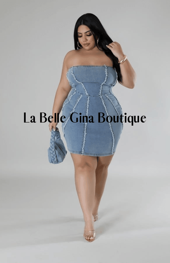 Lisa Stretch,Denim,Tube Zipper Closure Dress Denim / 2X-Large Lisa Stretch,Denim,Tube Zipper Closure Dress Denim / 2X-Large