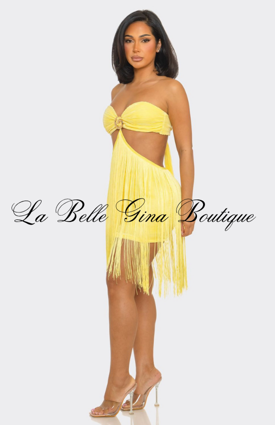 Cutout Fringe Mini Dress for Women | Sexy Vacation & Beach Party Dress