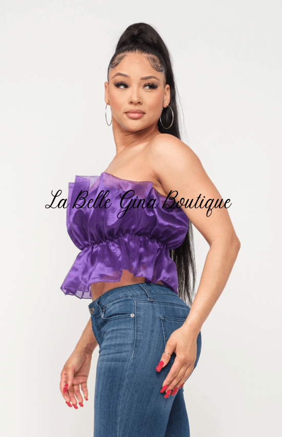 Lala Linning Elastic Shirring Tulle Tube Top-Purple - La Belle Gina Boutique