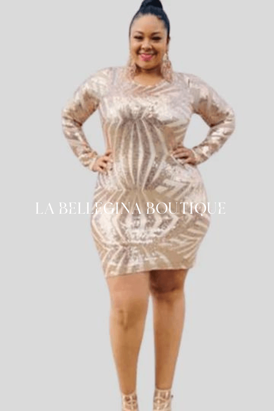 Sofia long sleeves round neck bodycon dress - La Belle Gina Boutique